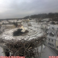 09_35-nest.jpg