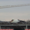 09_50-mast.jpg