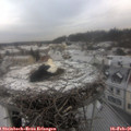09_55-nest.jpg
