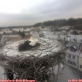 10_00-nest.jpg