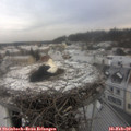 10_05-nest.jpg