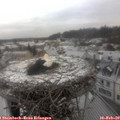 10_10-nest.jpg