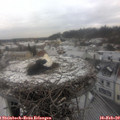 10_25-nest.jpg