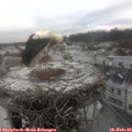 10_30-nest.jpg