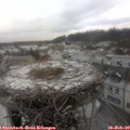 10_35-nest.jpg