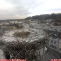 10_40-nest.jpg