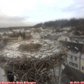 10_55-nest.jpg