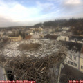 11_05-nest.jpg