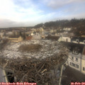 11_10-nest.jpg