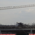 11_15-mast.jpg