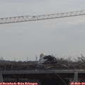 11_20-mast.jpg
