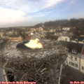 11_20-nest.jpg