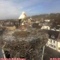 11_25-nest.jpg