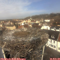 11_30-nest.jpg