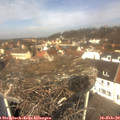 11_45-nest.jpg