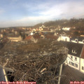 11_50-nest.jpg
