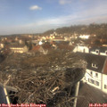 11_55-nest.jpg