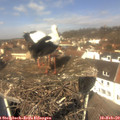 12_05-nest.jpg