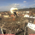 12_20-nest.jpg