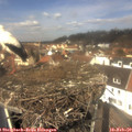 12_30-nest.jpg