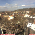 12_35-nest.jpg