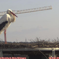 12_55-mast.jpg