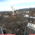 13_00-nest.jpg