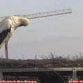 13_05-mast.jpg