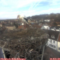 13_05-nest.jpg