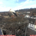 13_15-nest.jpg