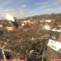 13_25-nest.jpg