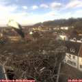 13_30-nest.jpg