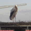 13_40-mast.jpg