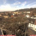 13_50-nest.jpg