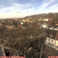 13_55-nest.jpg