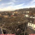14_00-nest.jpg