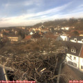 14_05-nest.jpg