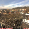 14_10-nest.jpg