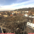 14_15-nest.jpg