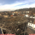 14_20-nest.jpg