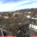 14_25-nest.jpg
