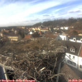 14_30-nest.jpg