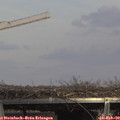 14_40-mast.jpg