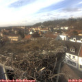 14_40-nest.jpg