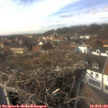 14_45-nest.jpg