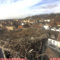 14_50-nest.jpg