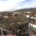 14_55-nest.jpg