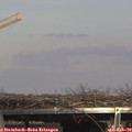 15_00-mast.jpg