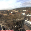 15_00-nest.jpg
