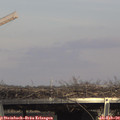 15_05-mast.jpg